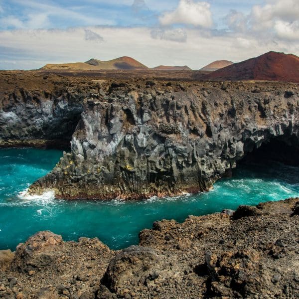 Diver exploring the rich marine ecosystem at El Bajón, a prime Canary Islands diving location.