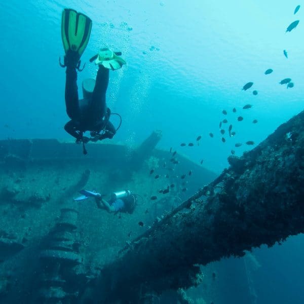 Divers exploring underwater shipwreck with fish.
