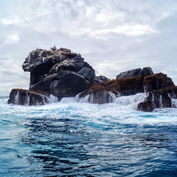 Diver surrounded by marine life in the vibrant waters of the Galapagos.