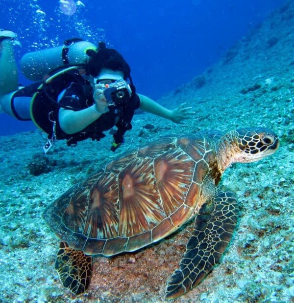 Diver photographing sea turtle underwater.