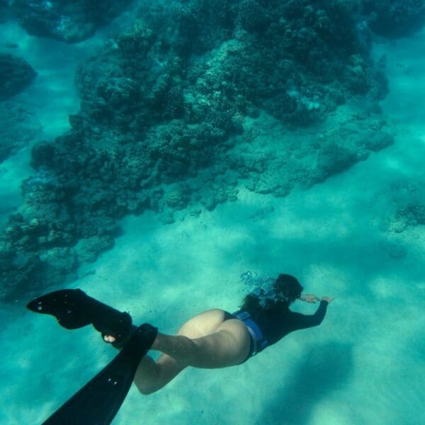 Diver exploring vibrant coral reef underwater.