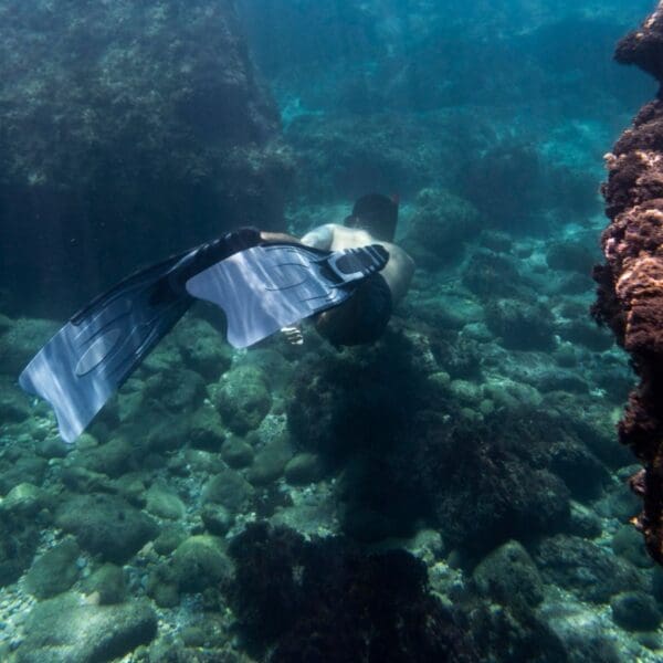 Diver exploring coral reef underwater.