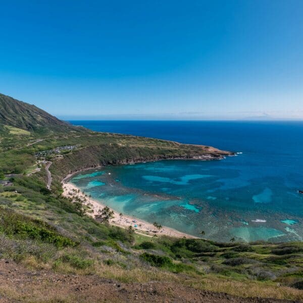 Scenic view of a lush green volcanic mountain and bay.