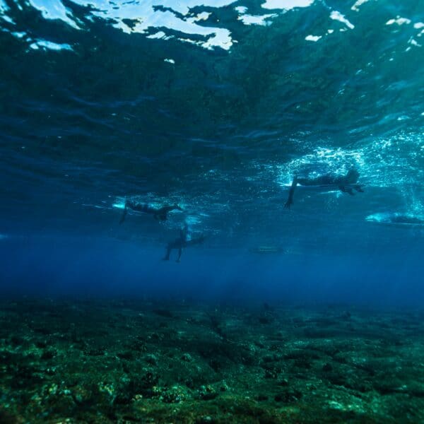 Divers exploring underwater seascape in clear blue water.