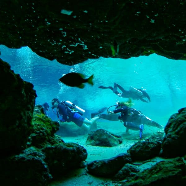 Scuba divers exploring underwater cave with fish.