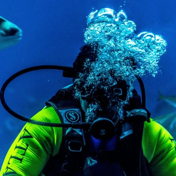 Scuba diver with shark in deep blue sea