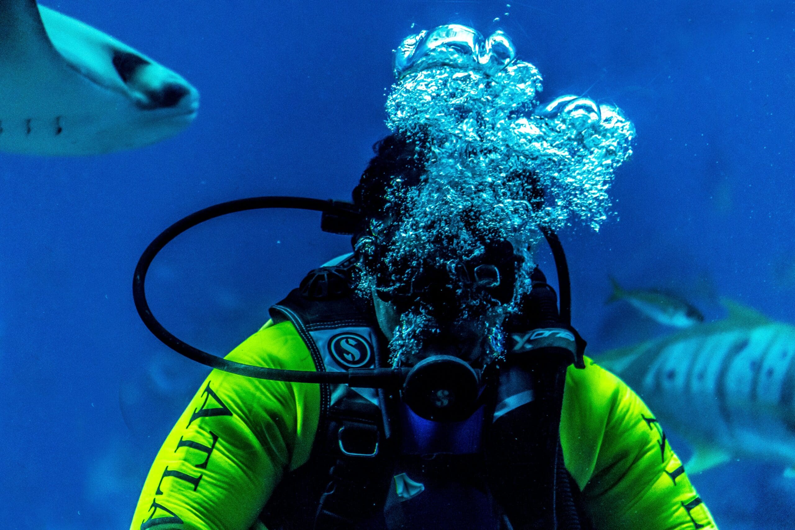 Ultimate Scuba Regulator Picks For A Thrilling Dive Experience