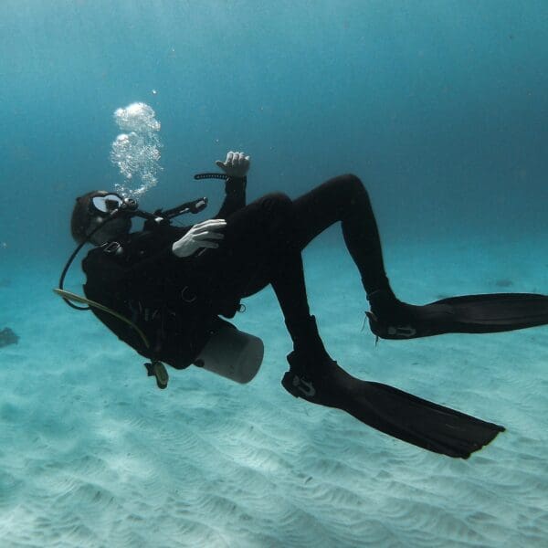 Diver exploring underwater with clear visibility and sandy bottom.