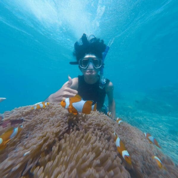 Diver with clownfish over coral reef underwater.