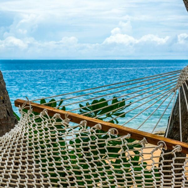 Hammock between palm trees overlooking tropical beach