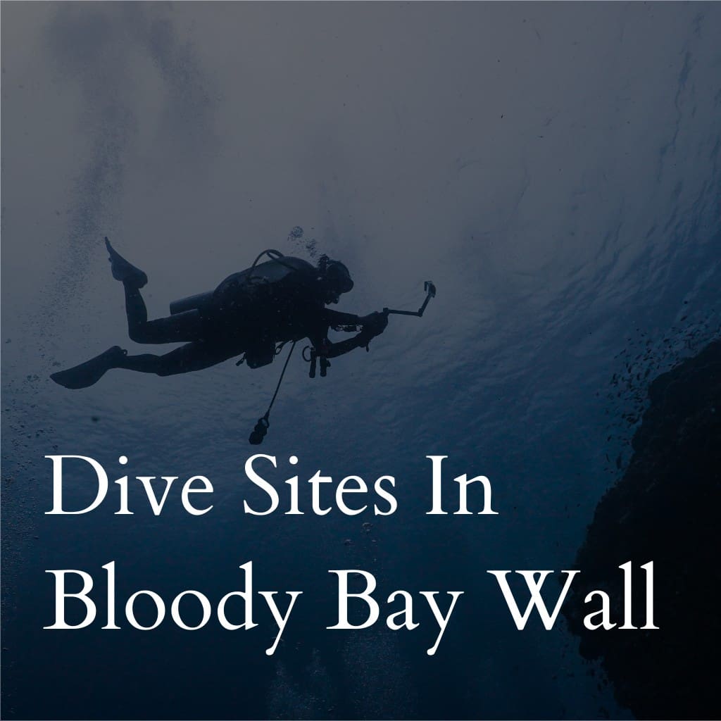 Dive sites in  Bloody Bay Wall