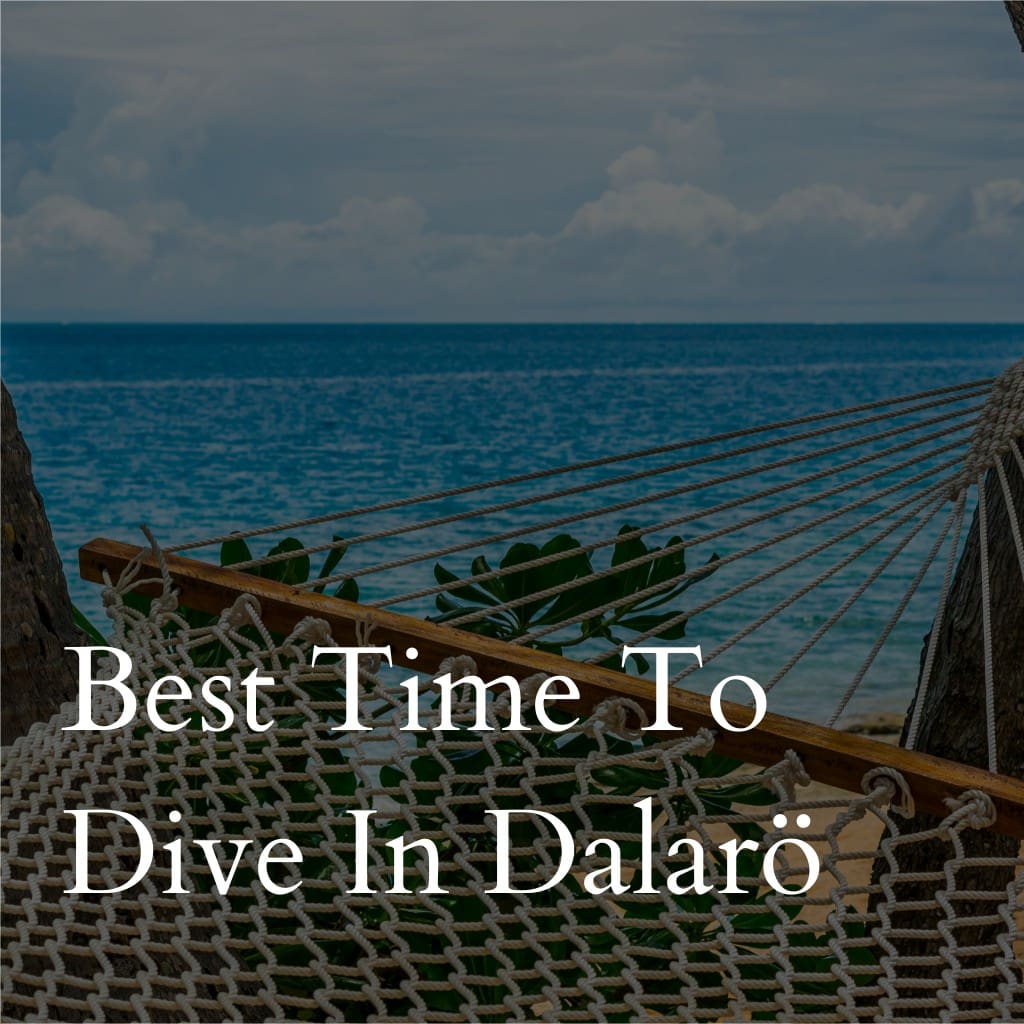 Best time to dive in Dalarö