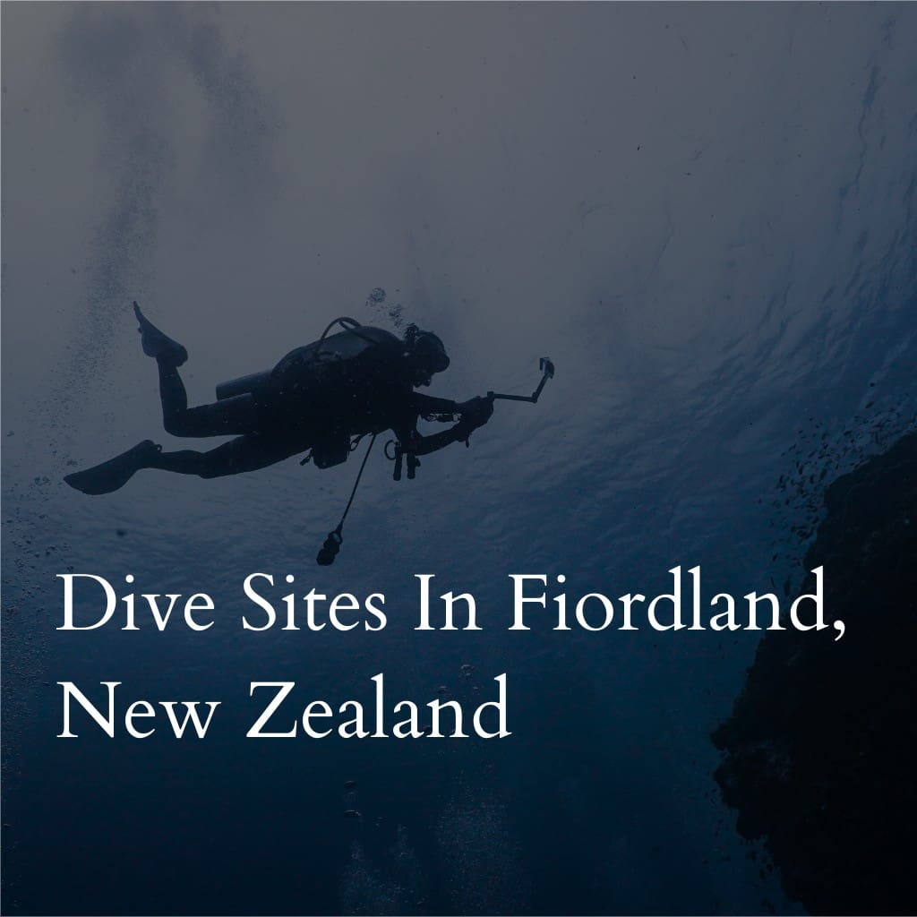 Dive sites in Fiordland