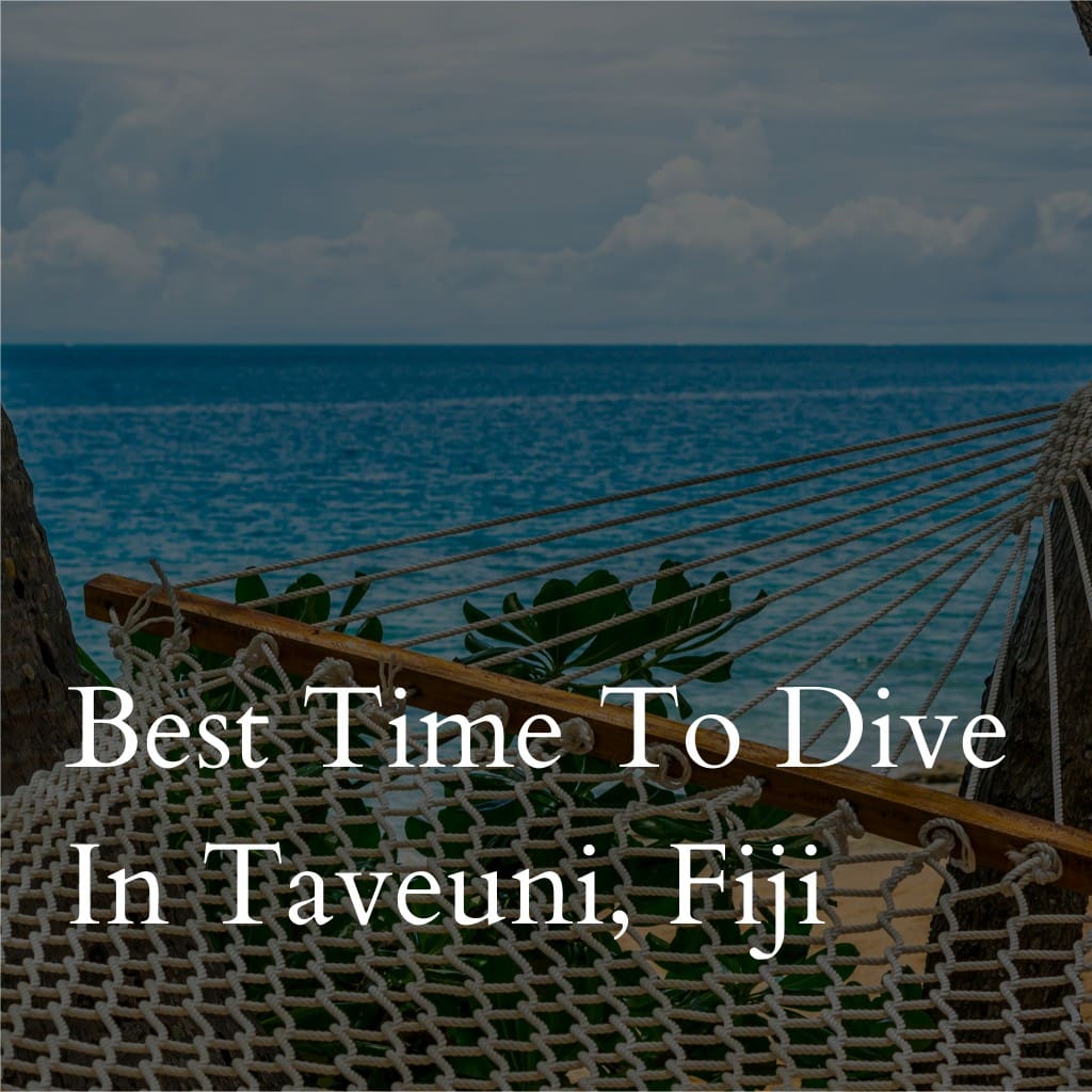 Hammock overlooking sea in Taveuni, Fiji