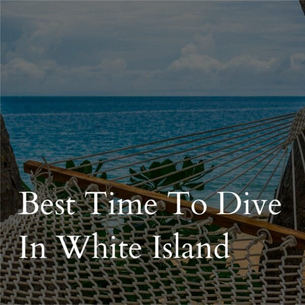 Hammock overlooking ocean with text 'Best Time To Dive In White Island'