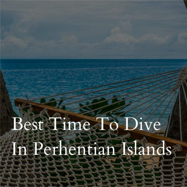 Hammock by sea with text about diving in Perhentian Islands