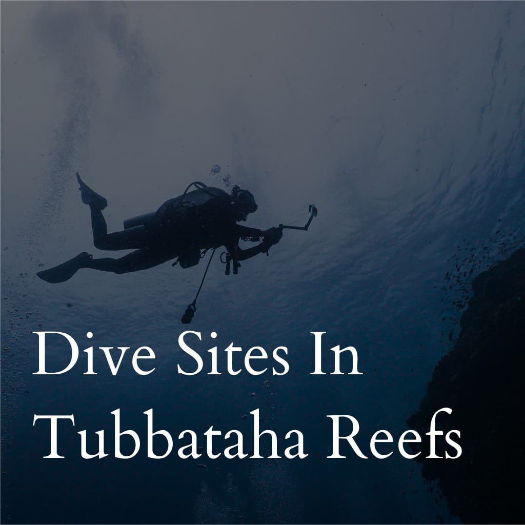 Diver exploring underwater at Tubbataha Reefs