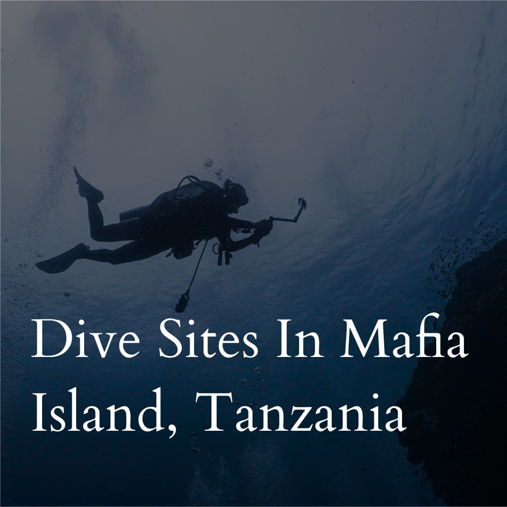 Scuba diver underwater near Mafia Island, Tanzania