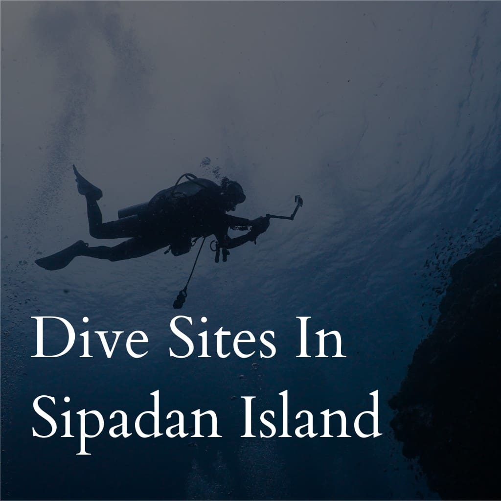 Diver exploring underwater at Sipadan Island