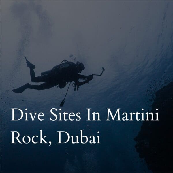 Diver exploring underwater at Martini Rock, Dubai