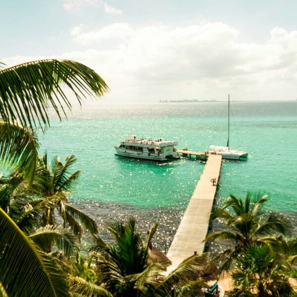 Tropical pier with boats and palm trees overlooking sea
