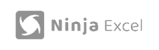 Ninja Excel logo with stylized shuriken and text