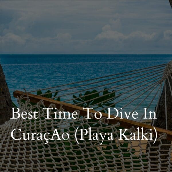 Hammock overlooking ocean at Playa Kalki, Curaçao