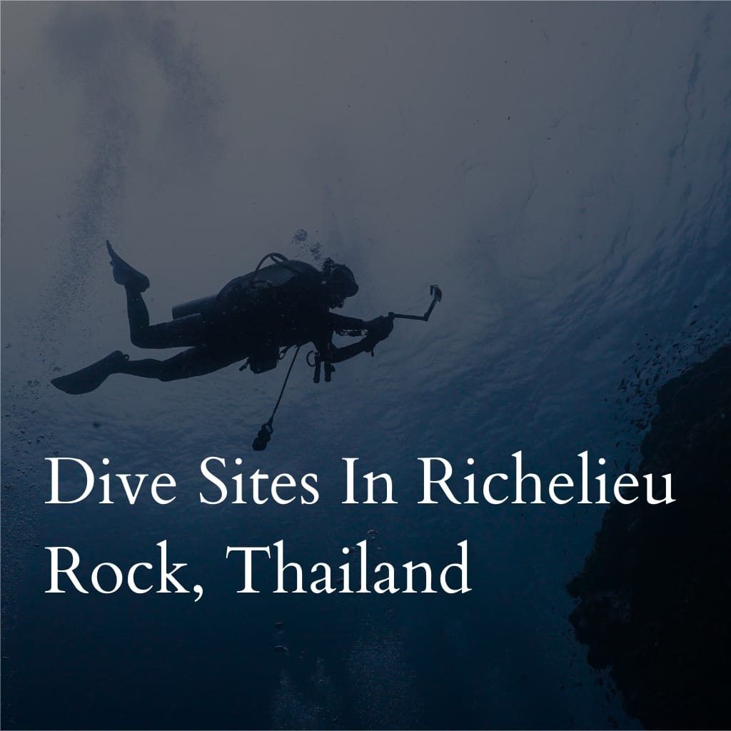Scuba diver underwater at Richelieu Rock, Thailand