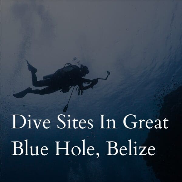 Scuba diver exploring the Great Blue Hole, Belize