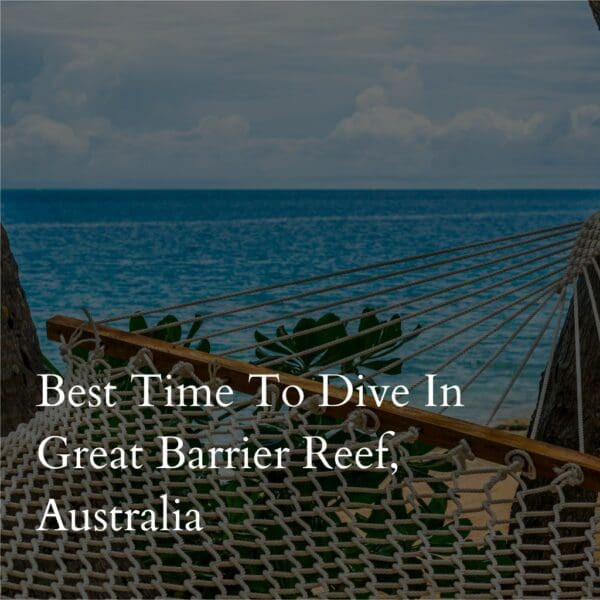 Hammock overlooking ocean with text about diving in Australia