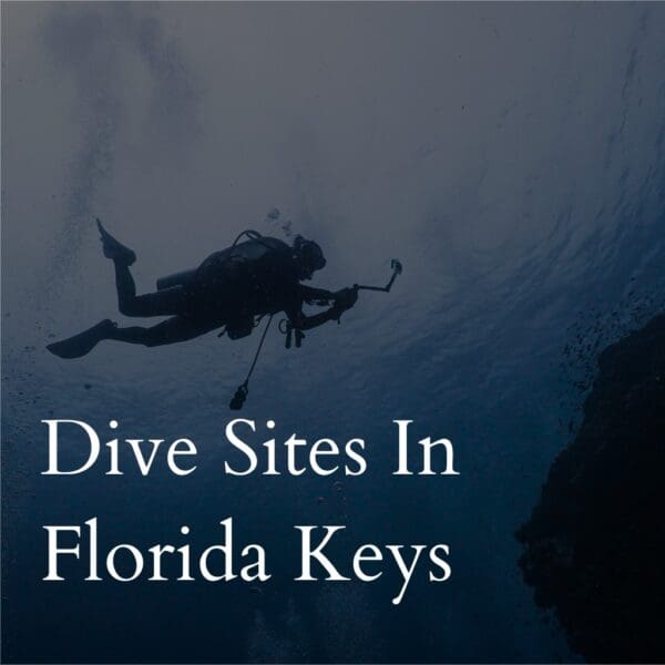 Scuba diver exploring underwater in Florida Keys