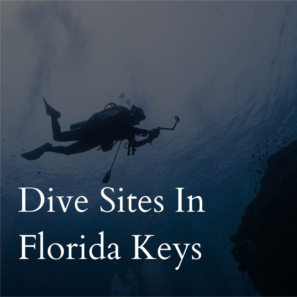 Dive sites in Florida Keys