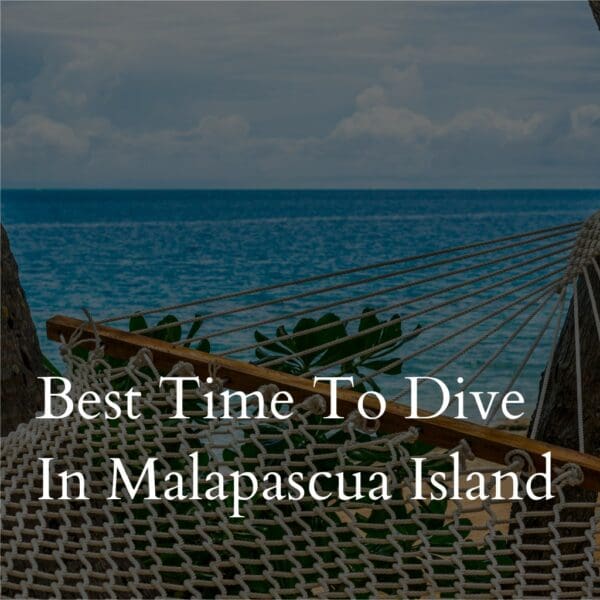 Hammock with ocean view, Malapascua Island promotion