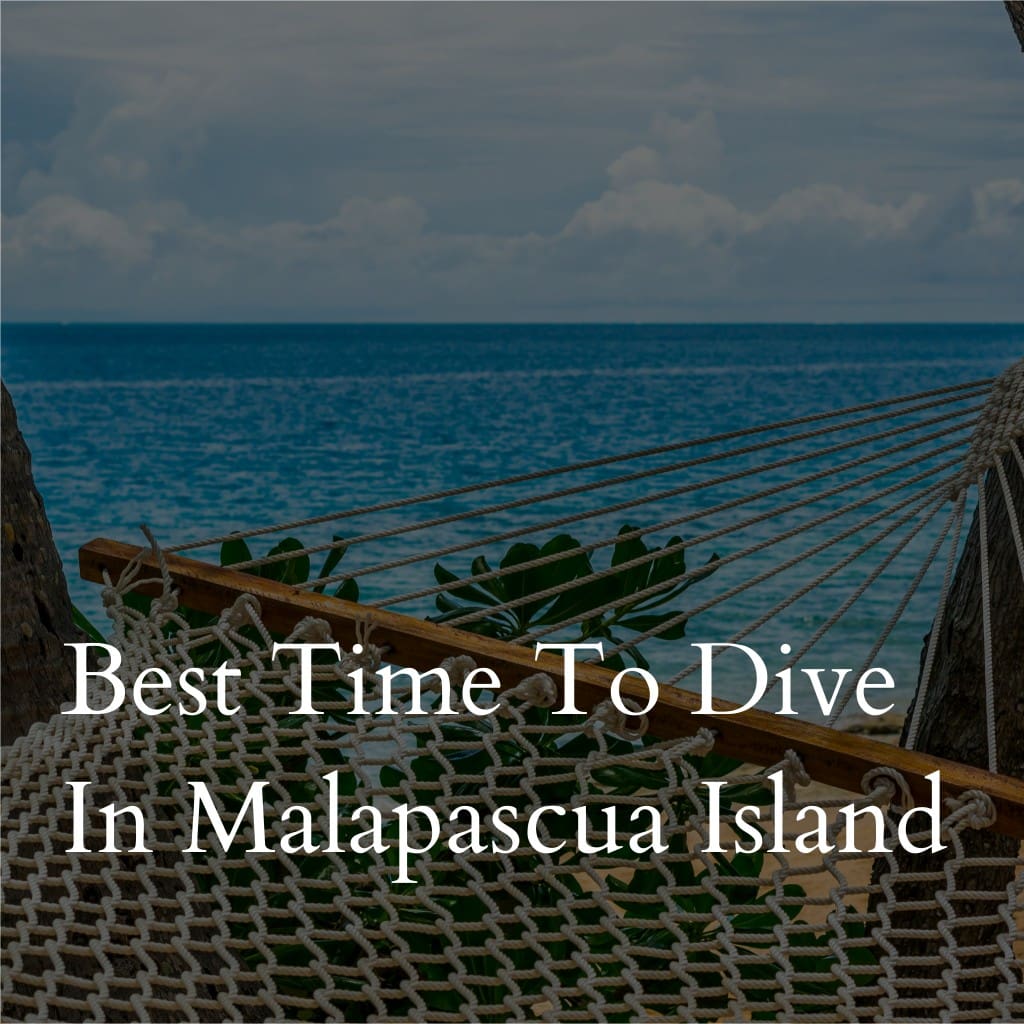 Hammock with ocean view, Malapascua Island promotion