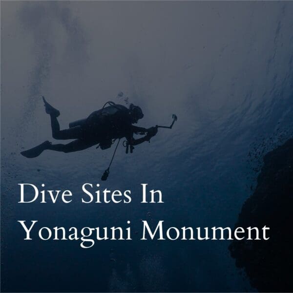 Scuba diver exploring Yonaguni Monument underwater