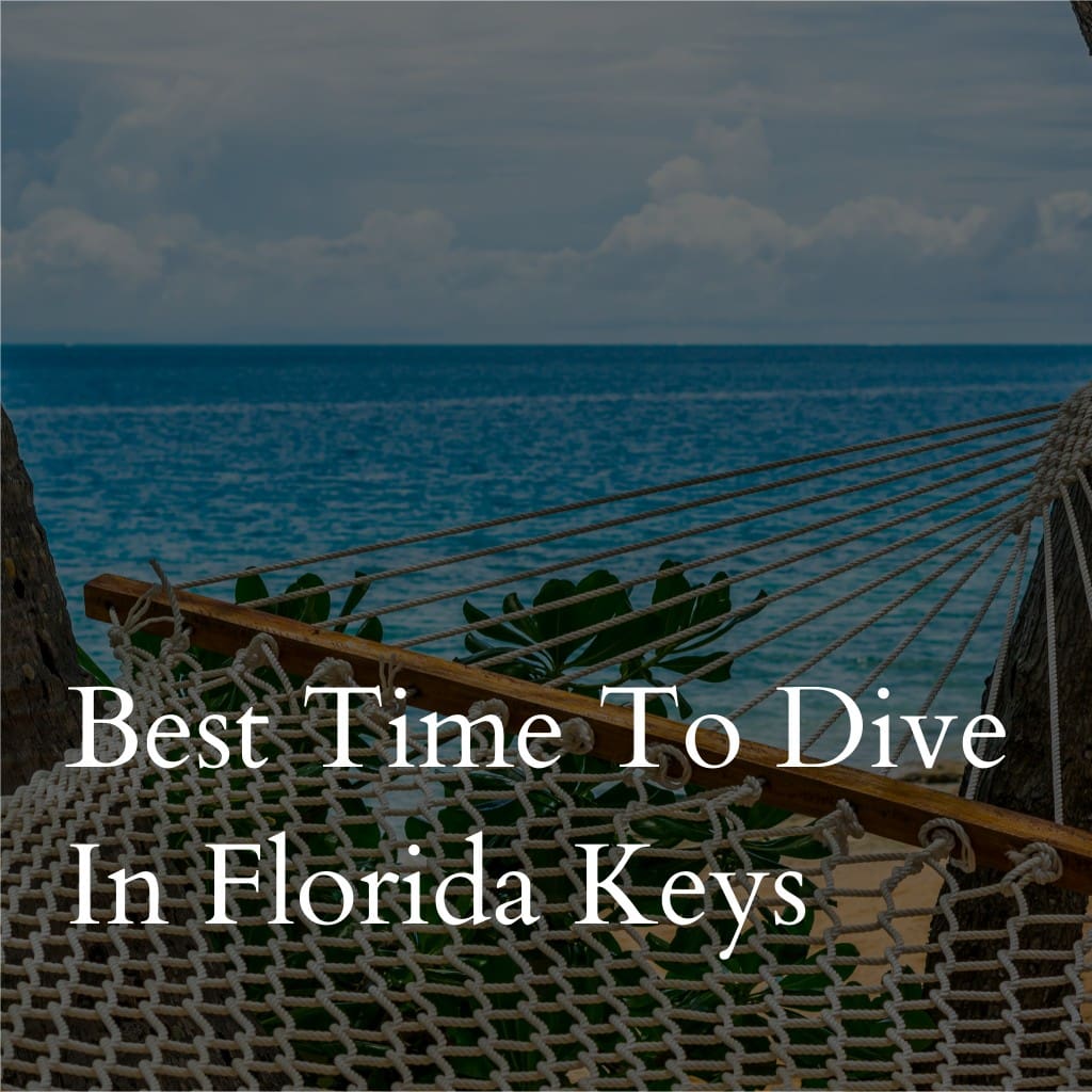 Best time to dive in Florida Keys