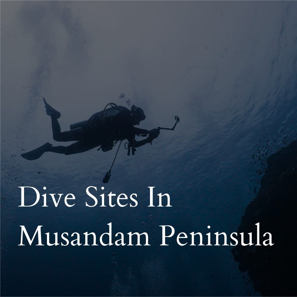 Dive sites in Musandam Peninsula