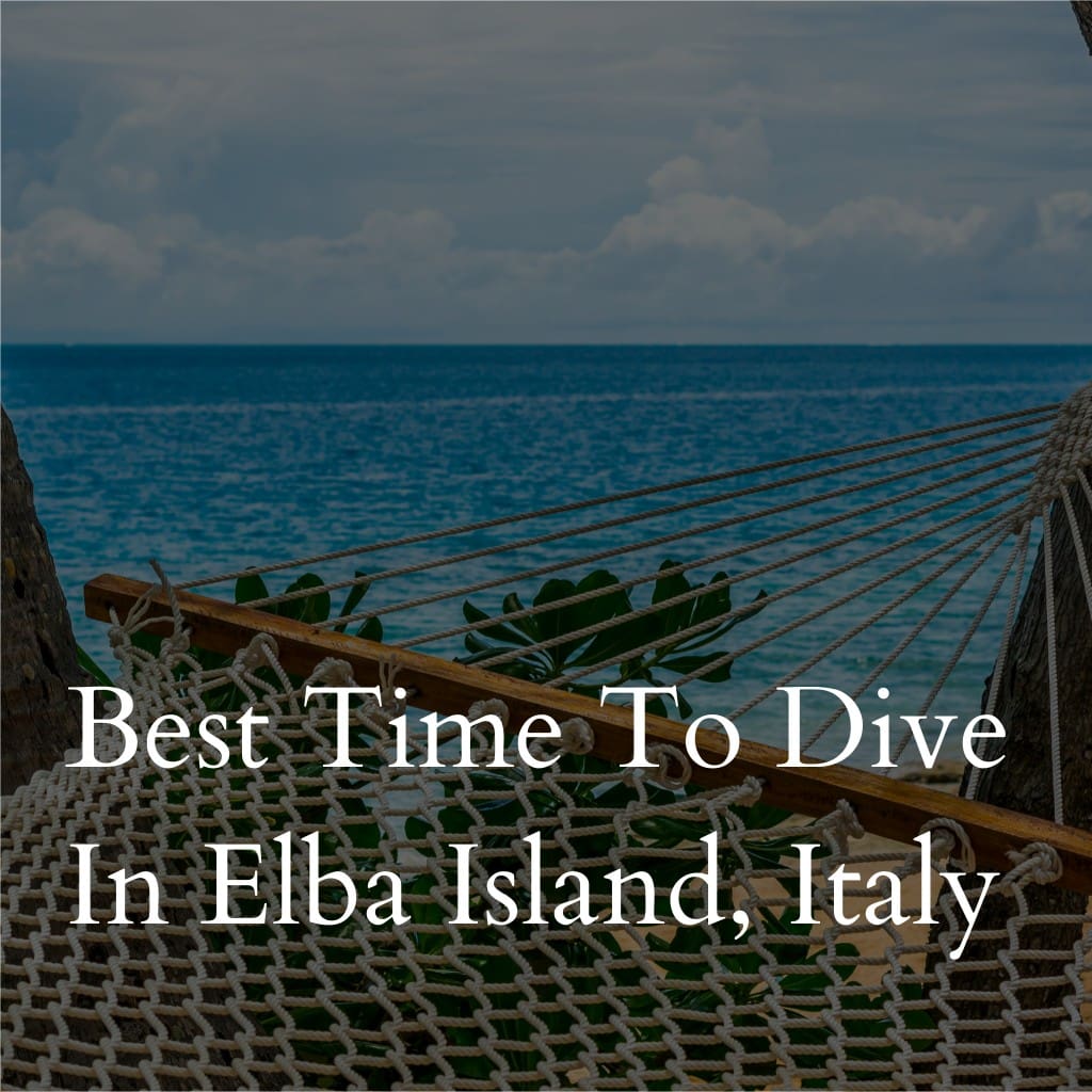 Best time to dive in Elba Island