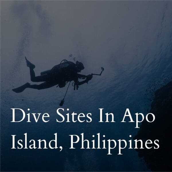 Diver exploring undersea near Apo Island, Philippines