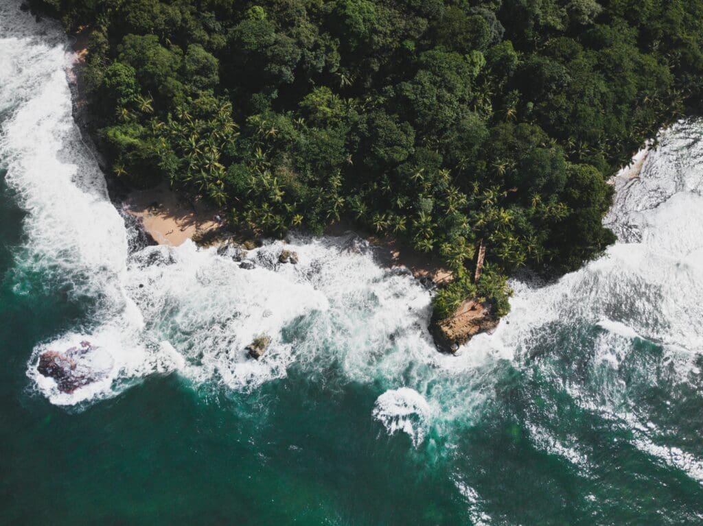 Aerial view of tropical coastline with lush forest