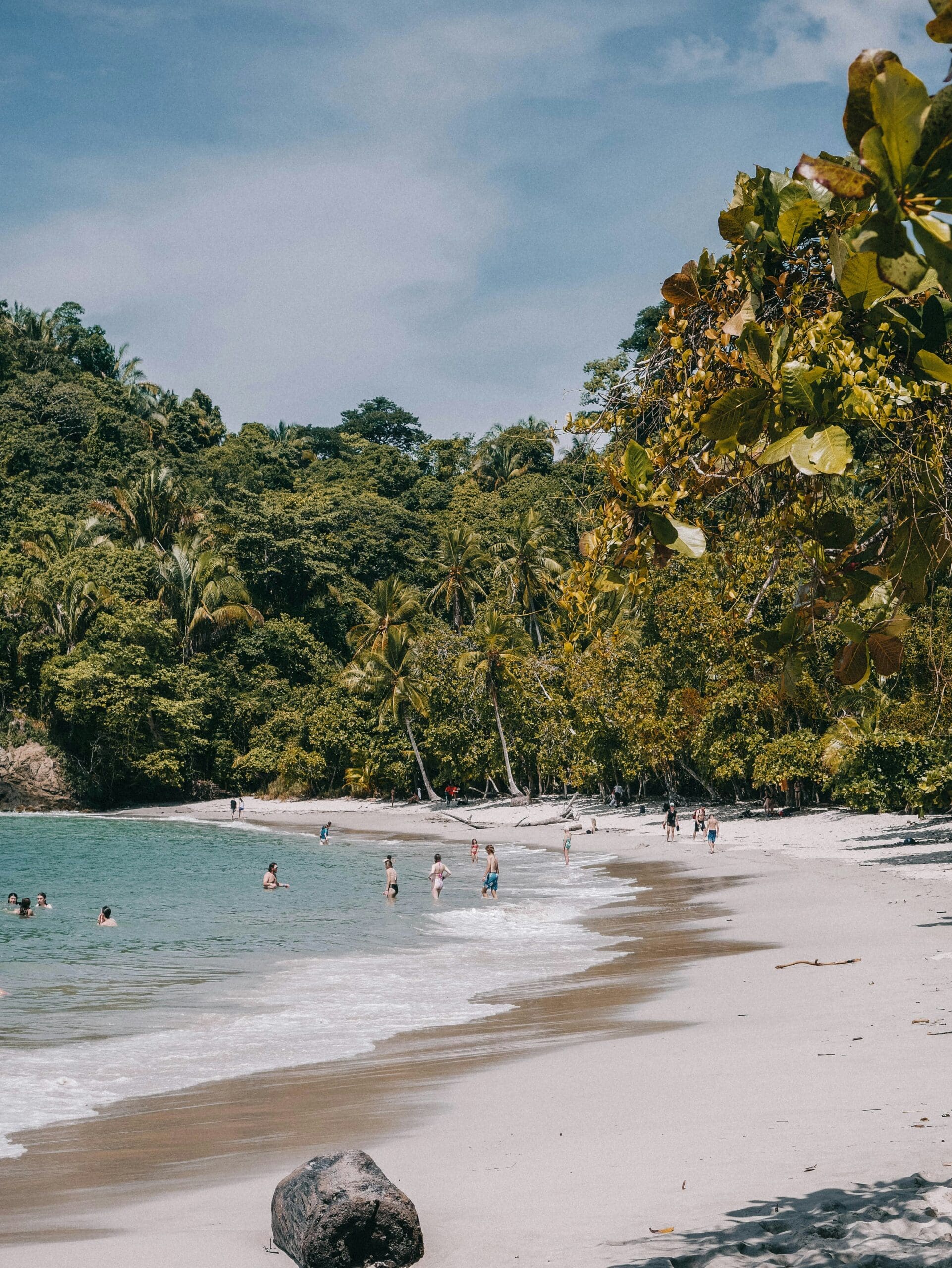 Tropical beach with people swimming and lush foliage