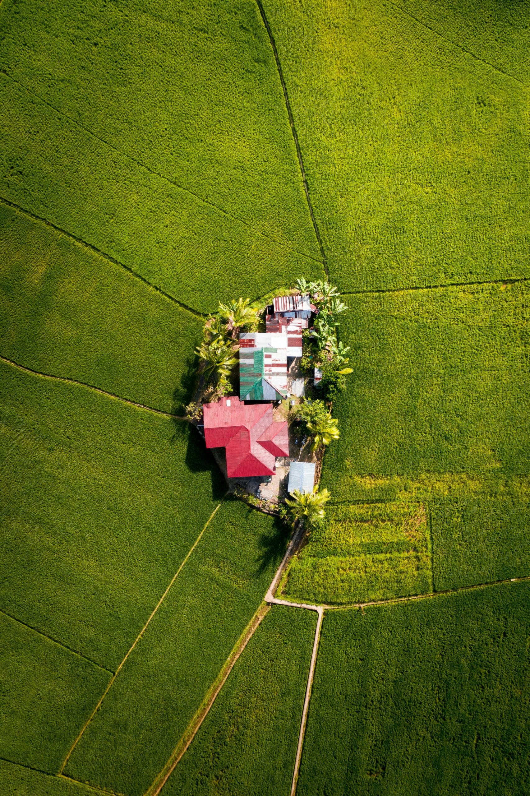 Aerial view of farmhouses surrounded by expansive green fields
