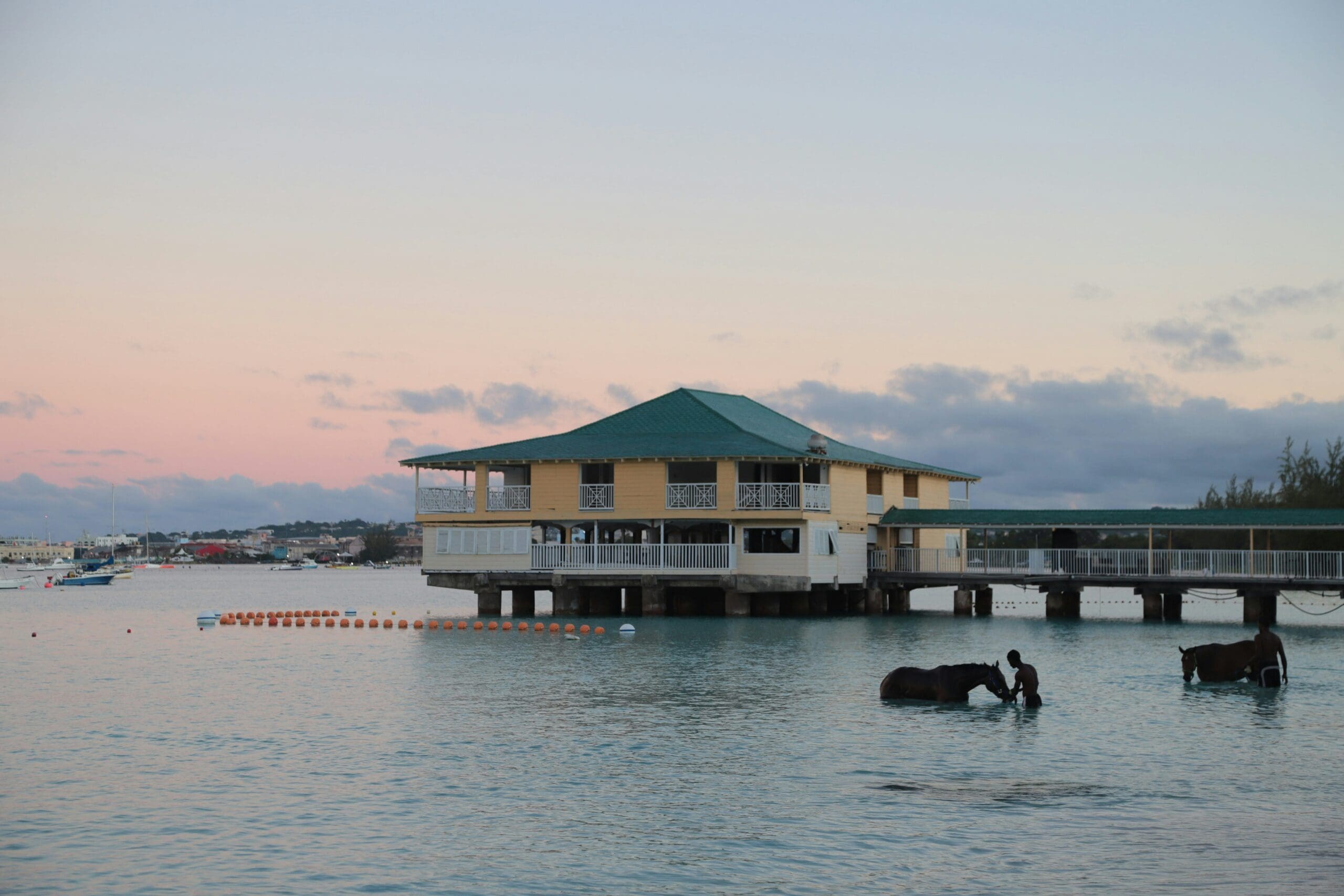 Stilt house over water at sunset with horses wading