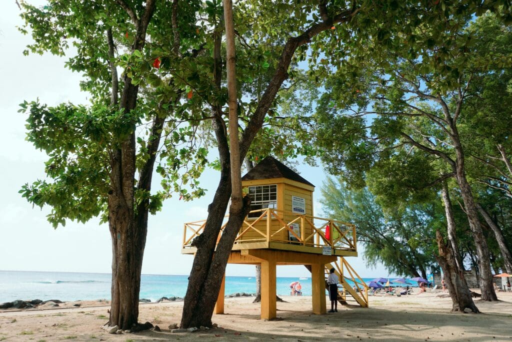 Elevated beach lifeguard station among tropical trees
