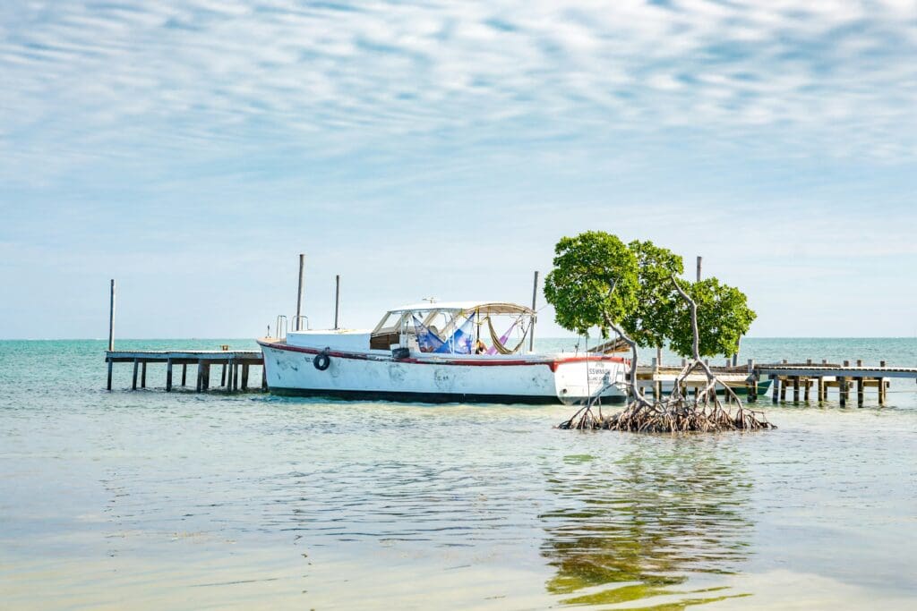 Boat docked near mangroves and wooden pier in blue sea