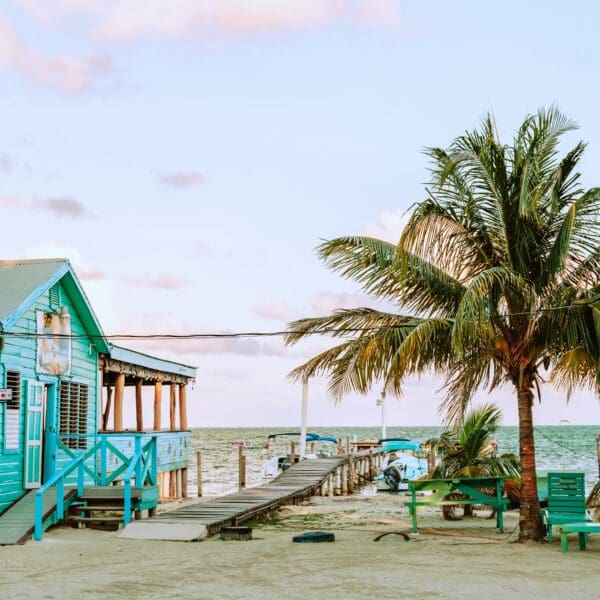 Tropical beach dock with turquoise boathouse and palm trees
