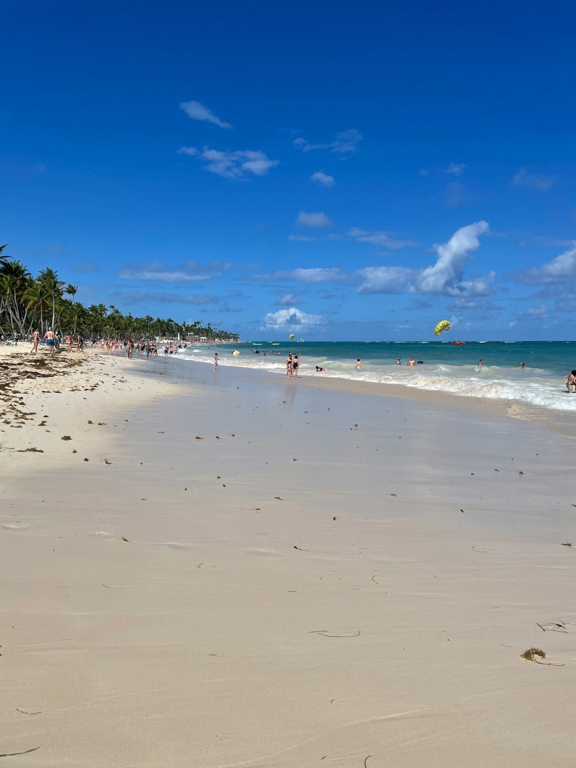 Sunny beach scene with people, palm trees, and parasail