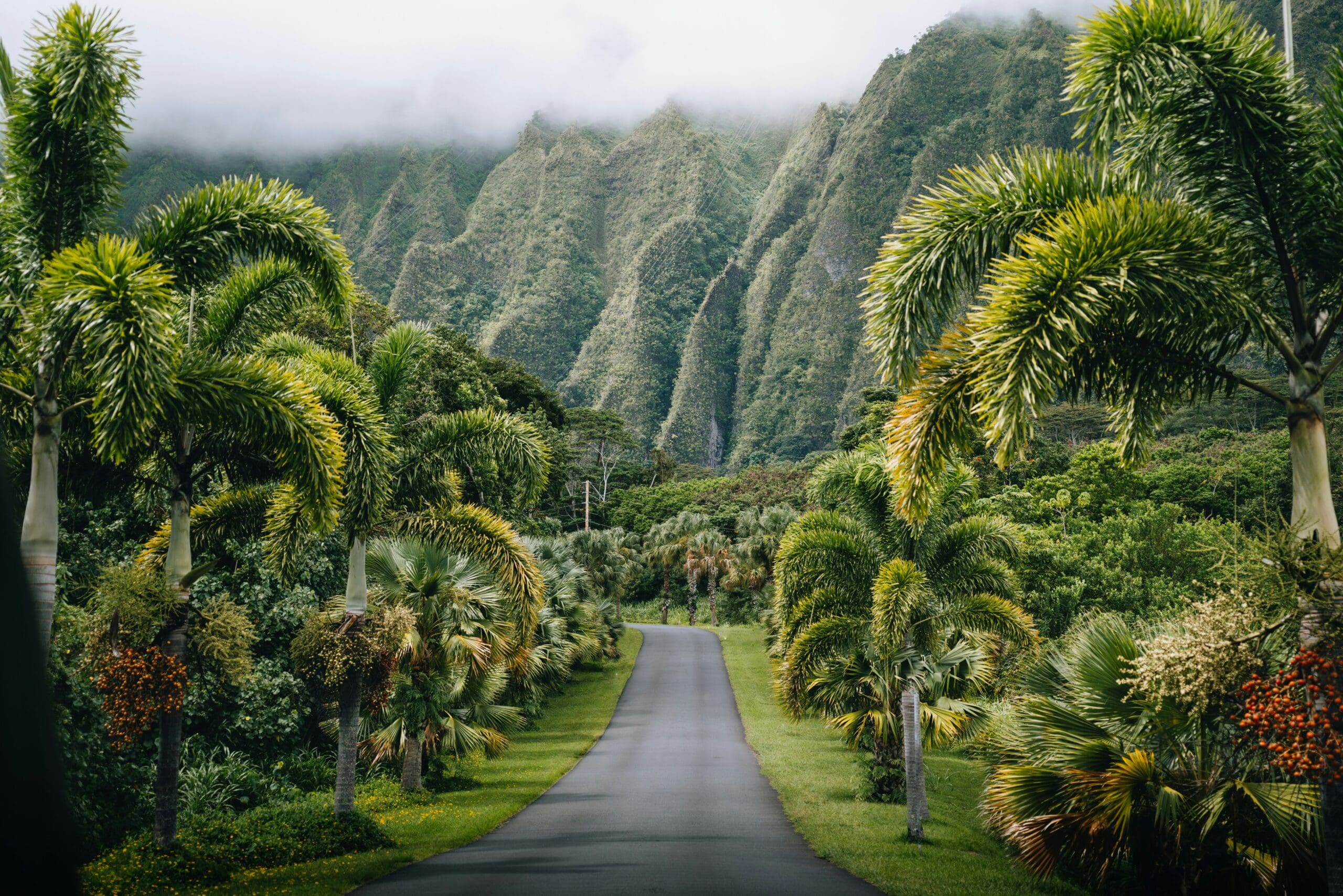Scenic road through lush tropical valley with misty mountains.