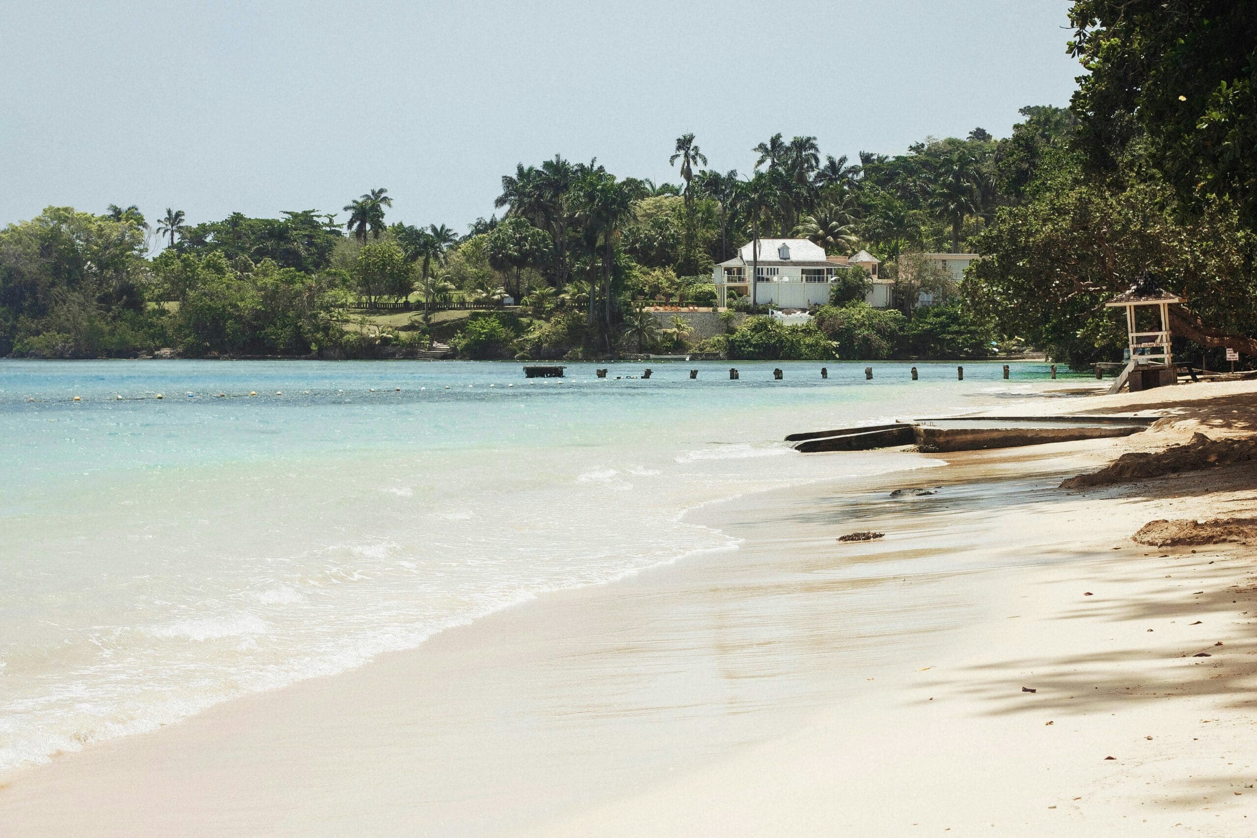 Tropical beach with lush greenery and sandy shore