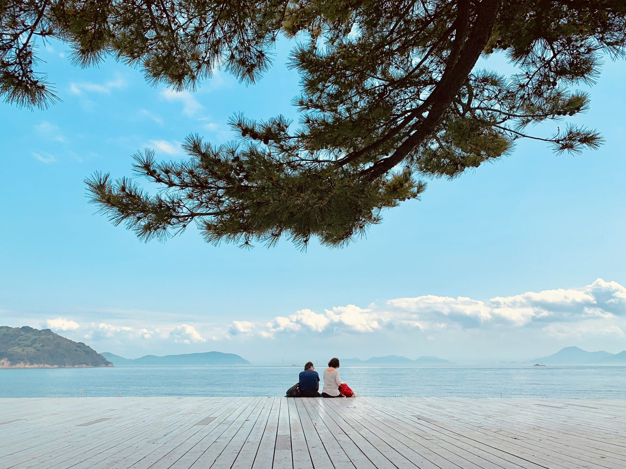 Couple sitting on pier under tree, ocean view